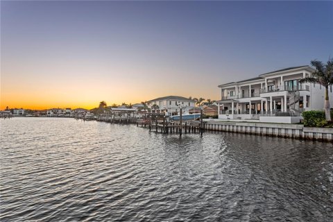 Villa ou maison à louer à Tampa, Floride: 5 chambres, 478.82 m2 № 1829357 - photo 3