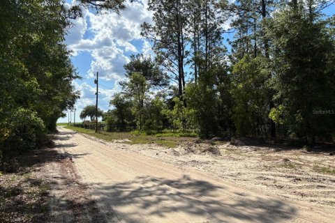 Terrain à vendre à Dunnellon, Floride № 2158961 - photo 2