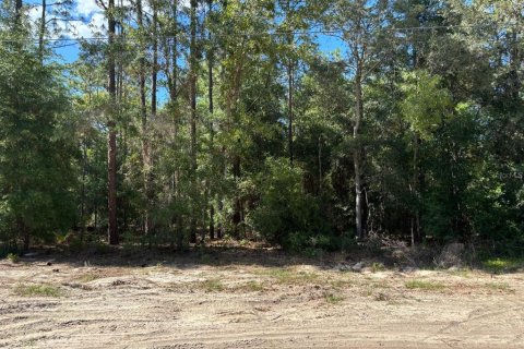 Terrain à Dunnellon, Floride № 2158961
