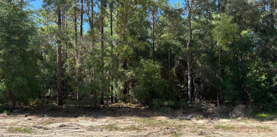 Terrain à Dunnellon, Floride № 2158961