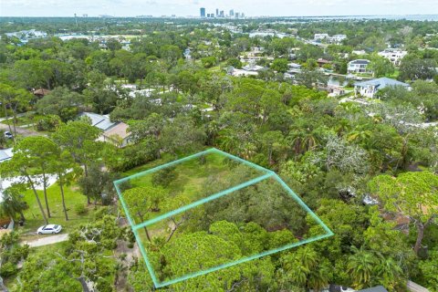 Land in Saint Petersburg, Florida № 1826914 - photo 21