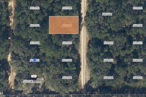 Terrain à Interlachen, Floride № 2228845
