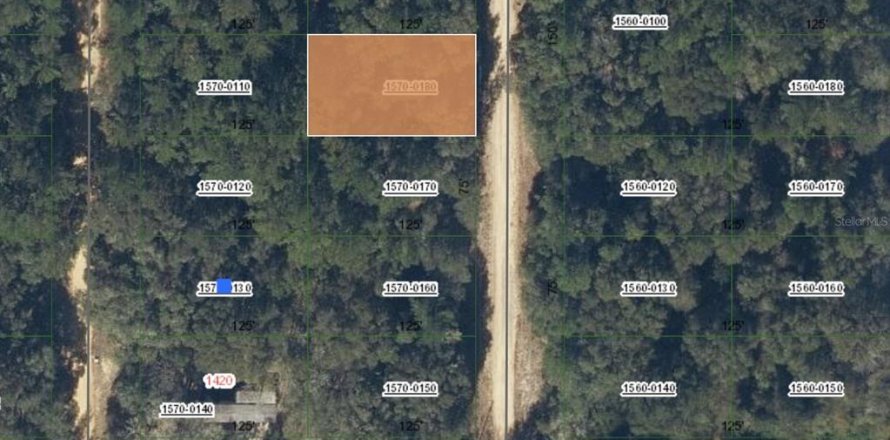 Terrain à Interlachen, Floride № 2228845