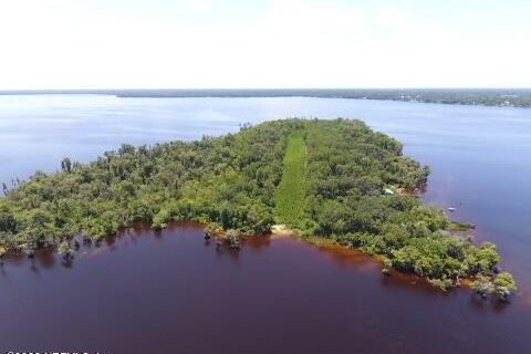 Land in Crescent City, Florida № 766207 - photo 1