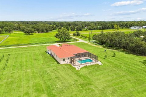 Villa ou maison à vendre à Plant City, Floride: 5 chambres, 280.56 m2 № 2313484 - photo 6