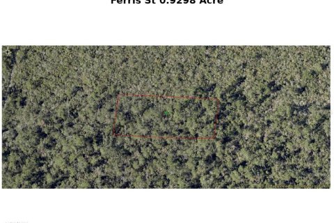 Land in Lake Helen, Florida № 695523 - photo 1