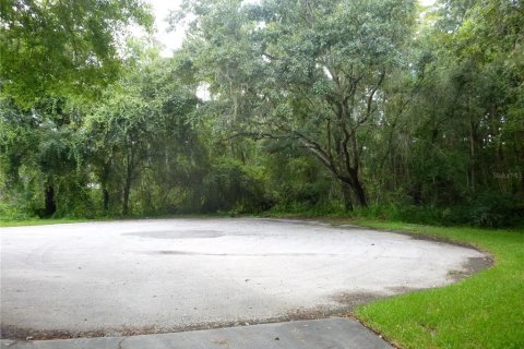 Land in Odessa, Florida № 2096286 - photo 3