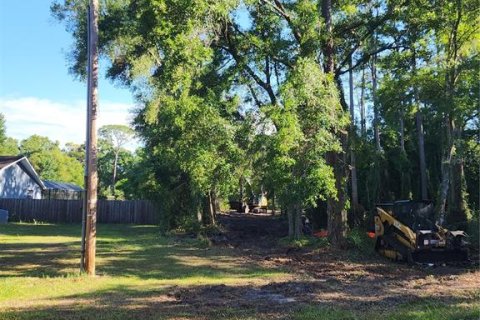 Land in Odessa, Florida № 2096286 - photo 17