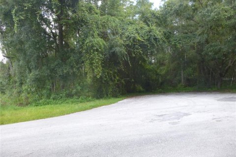 Land in Odessa, Florida № 2096286 - photo 16
