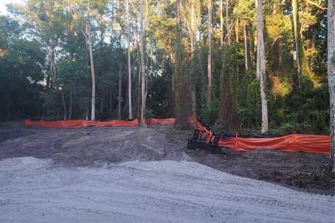 Land in Odessa, Florida № 2096286 - photo 6