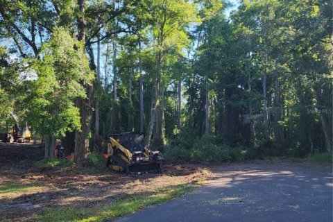 Land in Odessa, Florida № 2096286 - photo 19