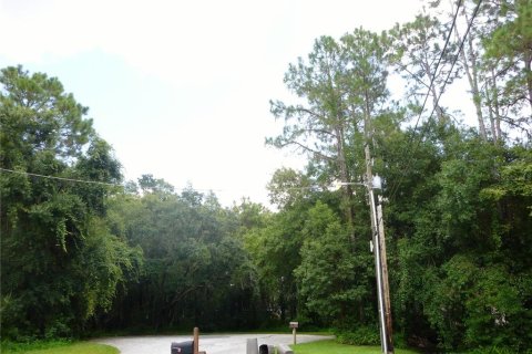 Land in Odessa, Florida № 2096286 - photo 4