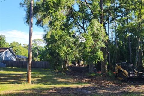 Land in Odessa, Florida № 2096286 - photo 26