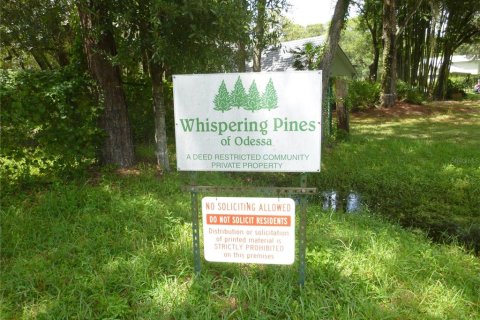 Land in Odessa, Florida № 2096286 - photo 21