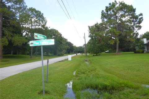 Land in Odessa, Florida № 2096286 - photo 25