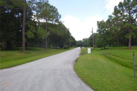 Land in Odessa, Florida № 2096286 - photo 15