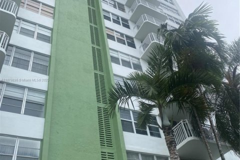 Condo in North Miami, Florida, 1 bedroom  № 1922464 - photo 3