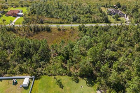 Land in Orlando, Florida № 1406481 - photo 7