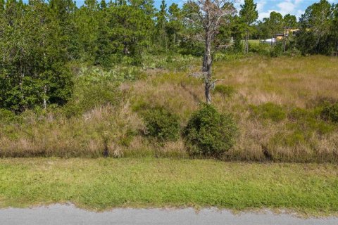 Land in Orlando, Florida № 1406481 - photo 1