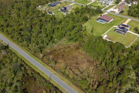 Land in Orlando, Florida № 1406481 - photo 4