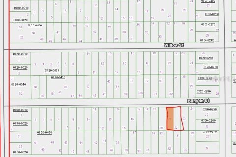 Land in Interlachen, Florida № 2223867