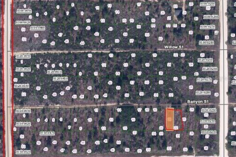 Land in Interlachen, Florida № 2223867 - photo 2
