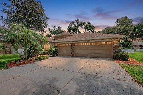 Casa en Valrico, Florida 4 dormitorios, 278.8 m2 № 2152355