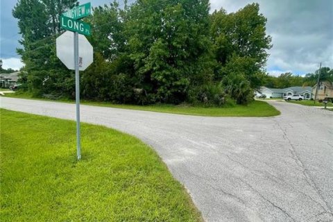 Terreno en venta en Palm Coast, Florida № 1743146 - foto 9