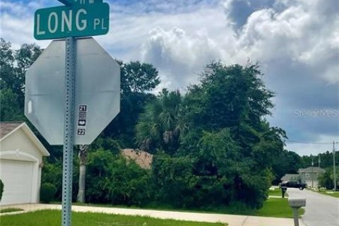 Terreno en venta en Palm Coast, Florida № 1743146 - foto 7