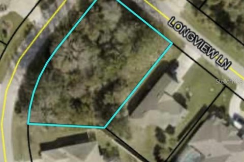 Terreno en venta en Palm Coast, Florida № 1743146 - foto 2