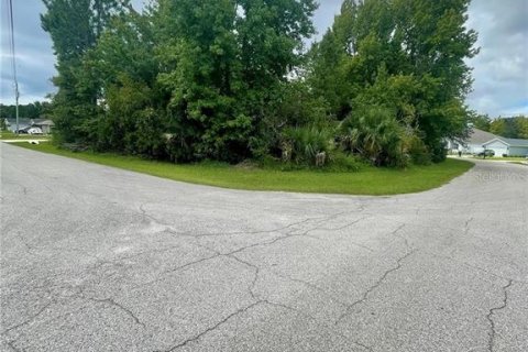 Terreno en venta en Palm Coast, Florida № 1743146 - foto 4