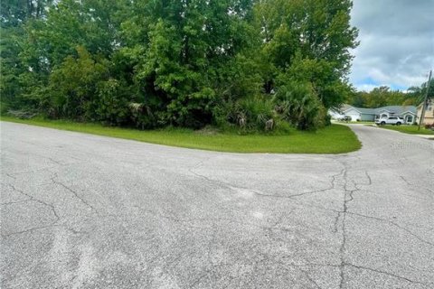 Terreno en venta en Palm Coast, Florida № 1743146 - foto 6