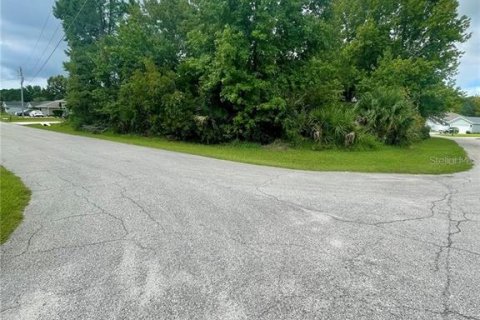Terreno en venta en Palm Coast, Florida № 1743146 - foto 5