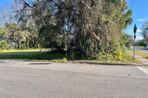 Land in Sanford, Florida № 1823307 - photo 3