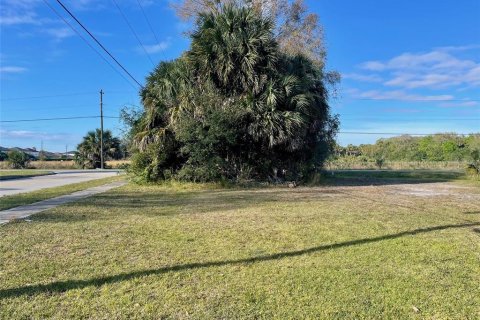 Land in Sanford, Florida № 1823307 - photo 2