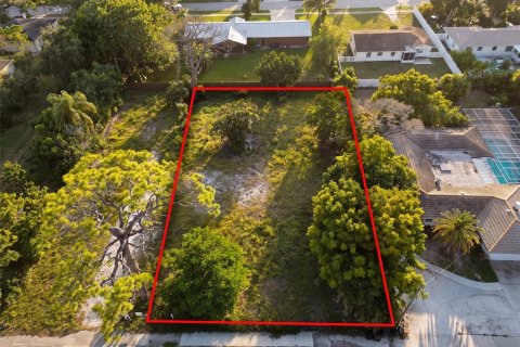 Land in Sarasota, Florida № 2383570 - photo 2