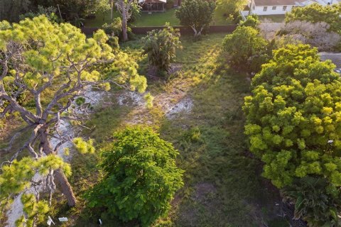 Land in Sarasota, Florida № 2383570 - photo 3