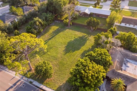 Land in Sarasota, Florida № 2383570 - photo 4