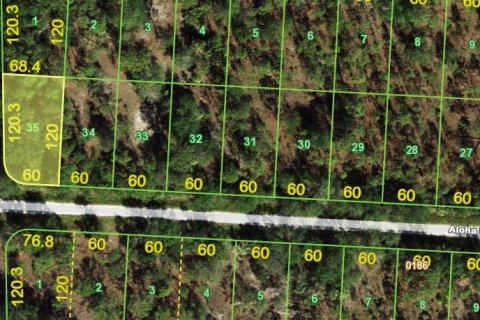 Land in Punta Gorda, Florida № 2161735 - photo 4