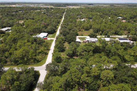 Land in Punta Gorda, Florida № 2161735 - photo 8
