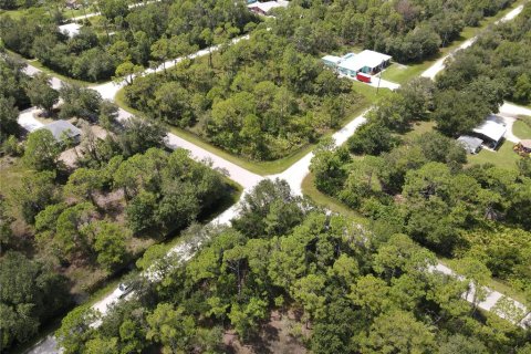 Land in Punta Gorda, Florida № 2161735 - photo 7