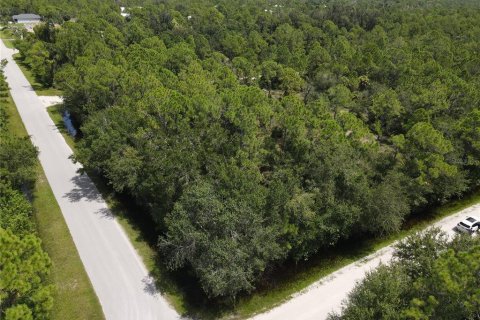 Land in Punta Gorda, Florida № 2161735 - photo 10