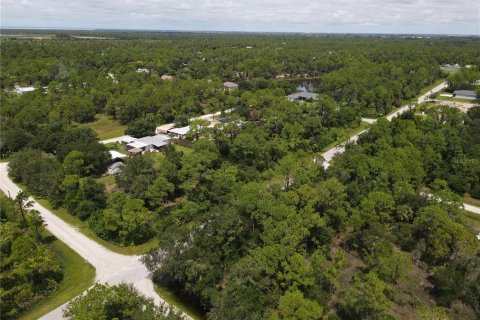 Land in Punta Gorda, Florida № 2161735 - photo 9
