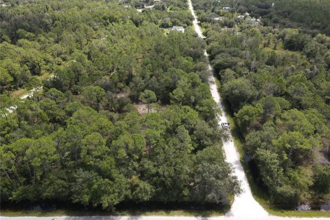 Land in Punta Gorda, Florida № 2161735 - photo 6
