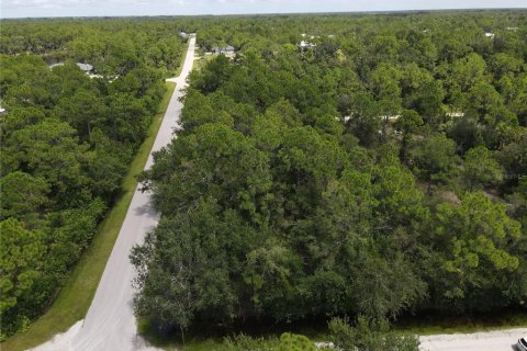 Land in Punta Gorda, Florida № 2161735