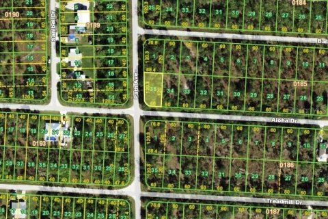 Land in Punta Gorda, Florida № 2161735 - photo 2