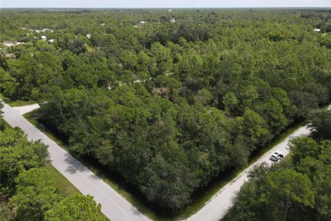 Land in Punta Gorda, Florida № 2161735 - photo 3