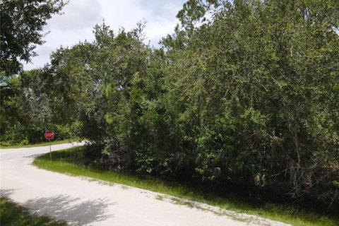 Land in Punta Gorda, Florida № 2161735 - photo 5
