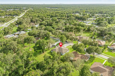 House in Thonotosassa, Florida 4 bedrooms, 232.35 sq.m. № 1878074 - photo 3