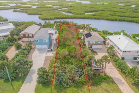 Land in New Smyrna Beach, Florida № 1746723 - photo 3